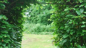Un sendero rodeado de abundante follaje verde que conduce a una zona cubierta de césped.