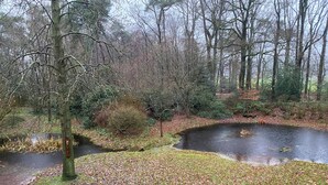 Un paisaje natural con un estanque, árboles y un puente de madera.
