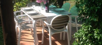 Cottage set in it's own woods near Lucca