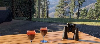 Cottage set in it's own woods near Lucca