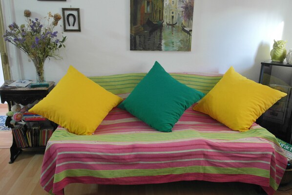 Televisión, chimenea y libros 