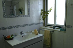 Chuveiro, secador de cabelo, toalhas de banho, sabonete