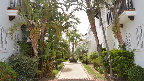 Un camino conduce a una piscina rodeada de abundante vegetación y edificios blancos con contraventanas.