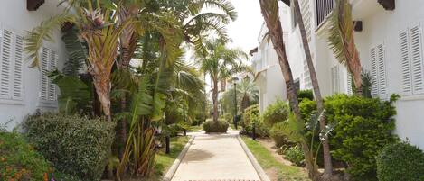 Àrea exterior de l'allotjament