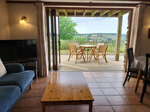 Smart-TV, DVD-spiller, bøker og stereoanlegg