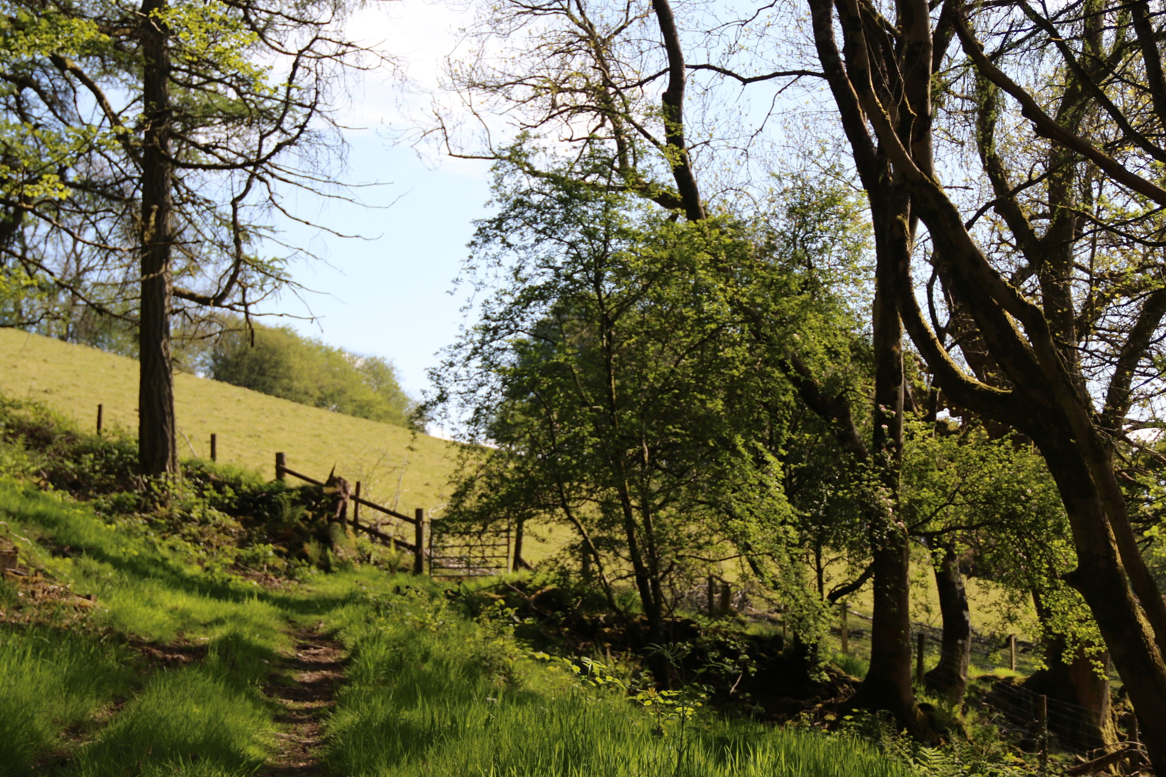 Un paysage rural avec une colline couverte d’herbe, une clôture en bois et un sentier qui monte vers le sommet de la colline.