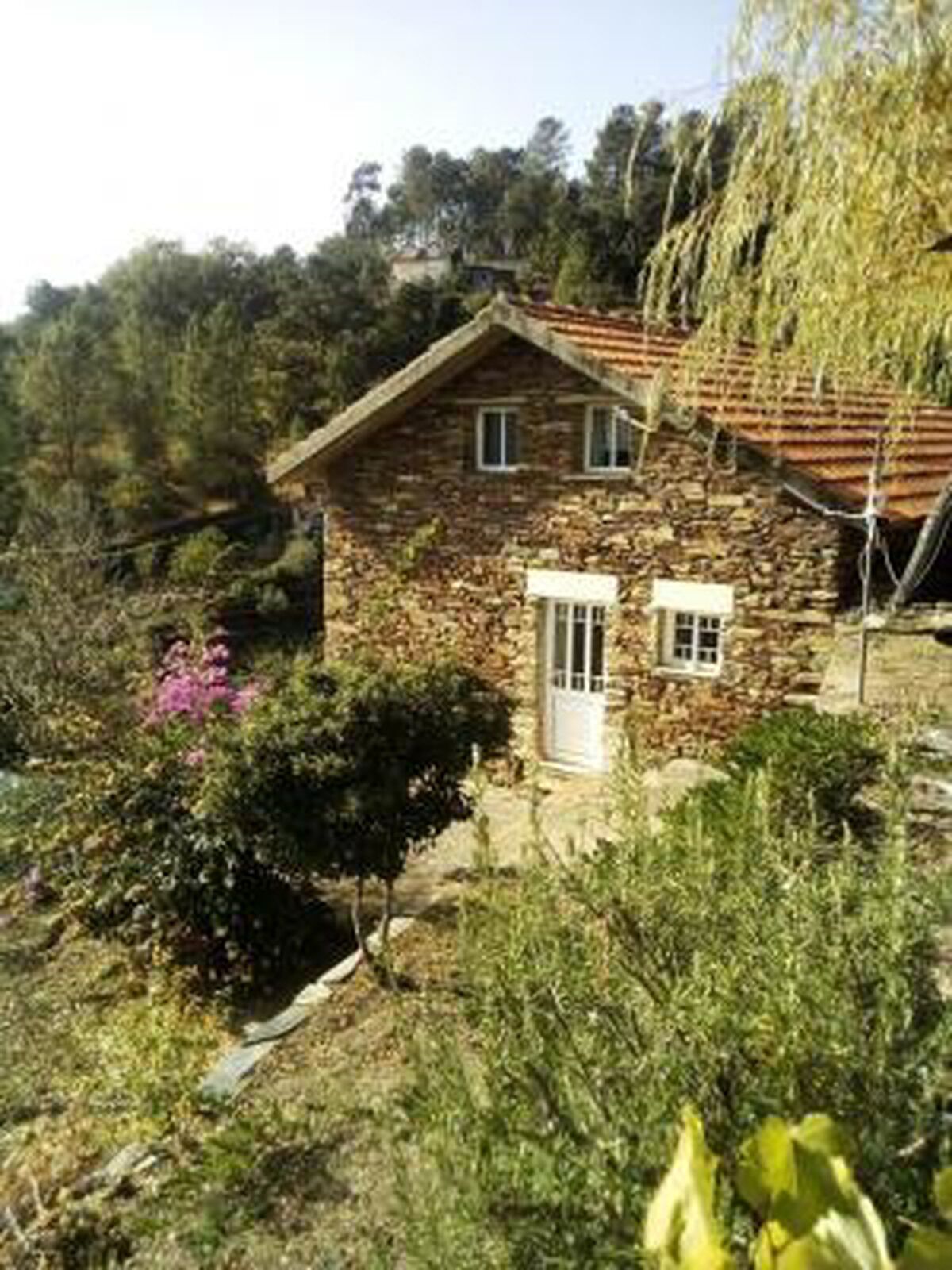 Home in an old village in the Douro region