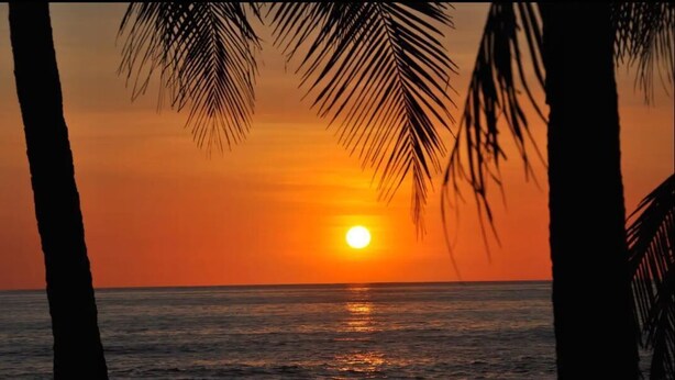 Ein Sonnenuntergang über dem Meer, eingerahmt von Palmen.