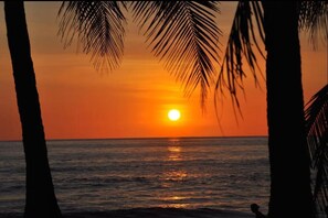 A sunset over the ocean with palm trees framing the view. - Casa 007, 10 people private Residence downtown Jaco! (Jaco)
