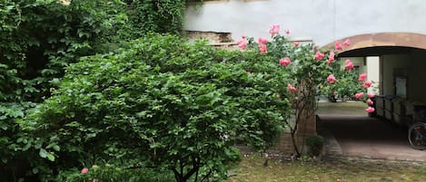 Terrain de lâhĂ©bergement