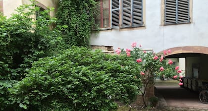 Au coeur de Strasbourg avec vélos à disposition sur projet-z.com.