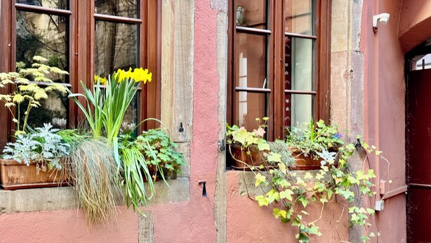 Een gebouw met houten kozijnen, roze gestucte muren en bloempotten op de vensterbanken.