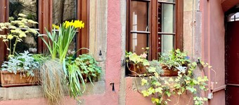 Cosy groundfloor appartment in the heart of Strasbourg, with 2 bikes. 