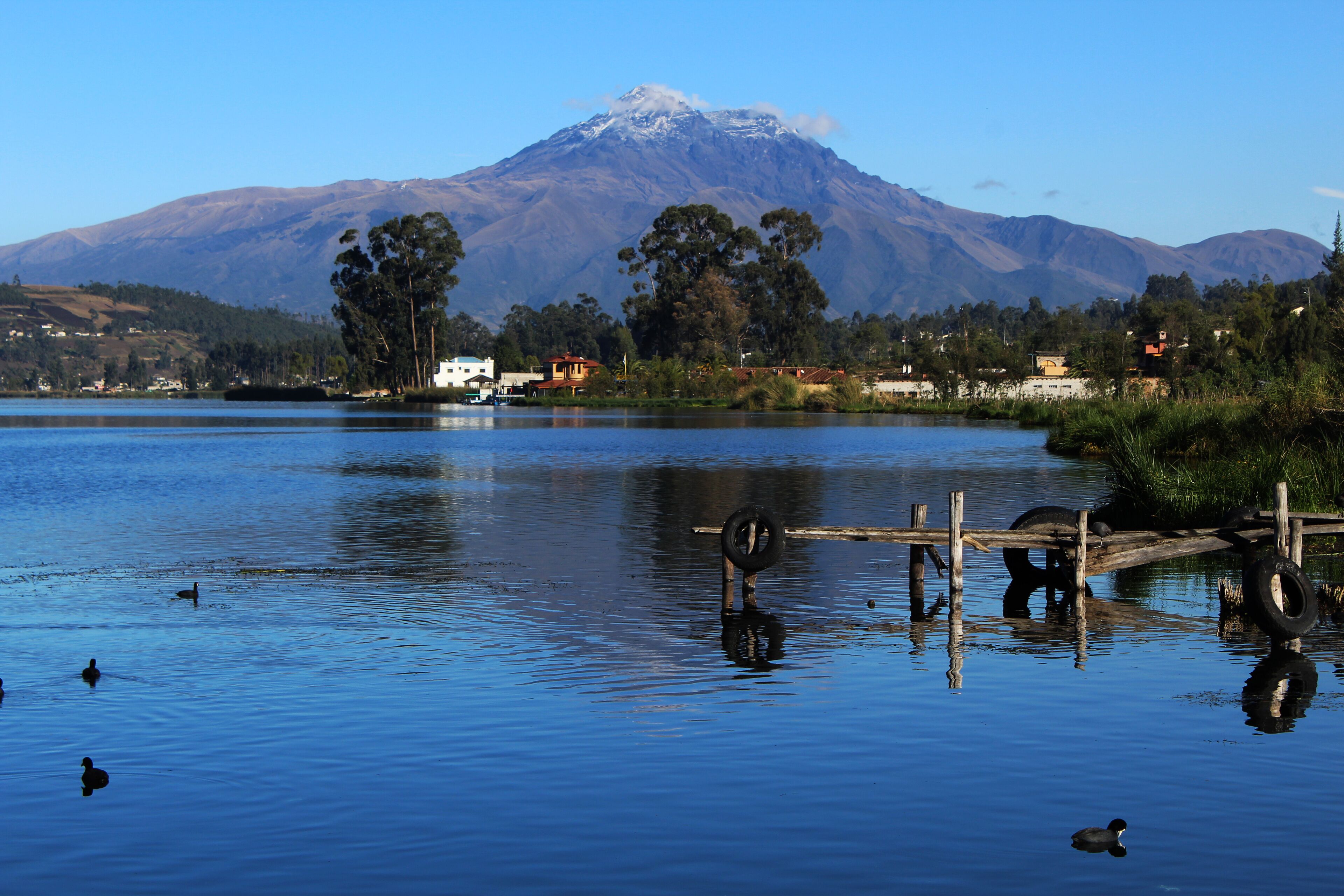 Un lago con una montaña al fondo, un muelle de madera y varios patos nadando.