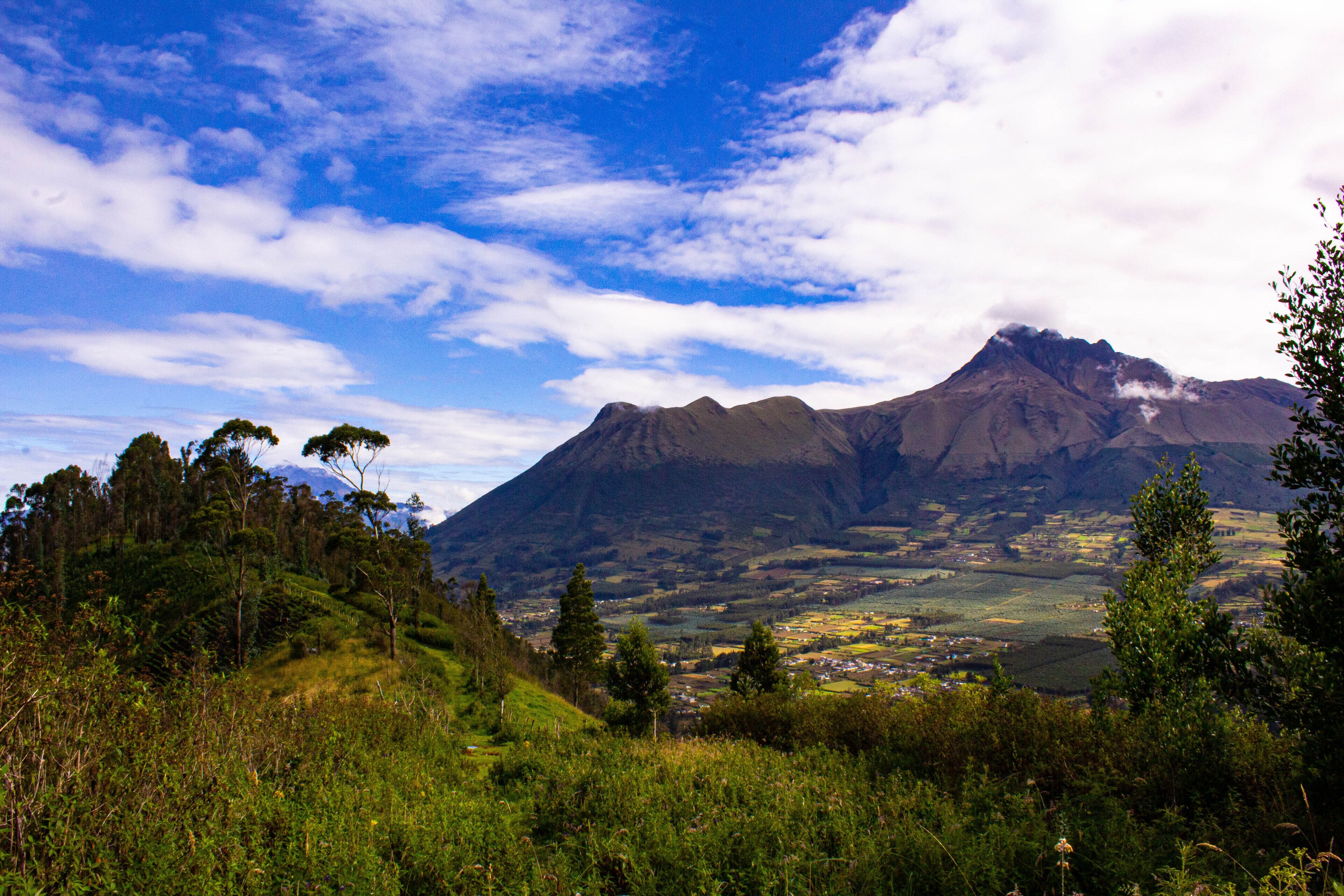 Un paisaje montañoso con un valle y árboles dispersos.
