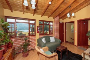 TV connectée, cheminée, lecteur de DVD, livres