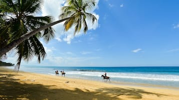 Plage, chaises longues, serviettes de plage
