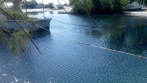 On aperçoit clairement une rivière avec des bateaux, une plage de sable et quelques plantes.