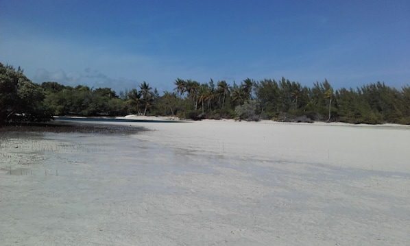 Playa