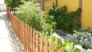 A garden with a wooden fence, various plants, and a yellow wall.