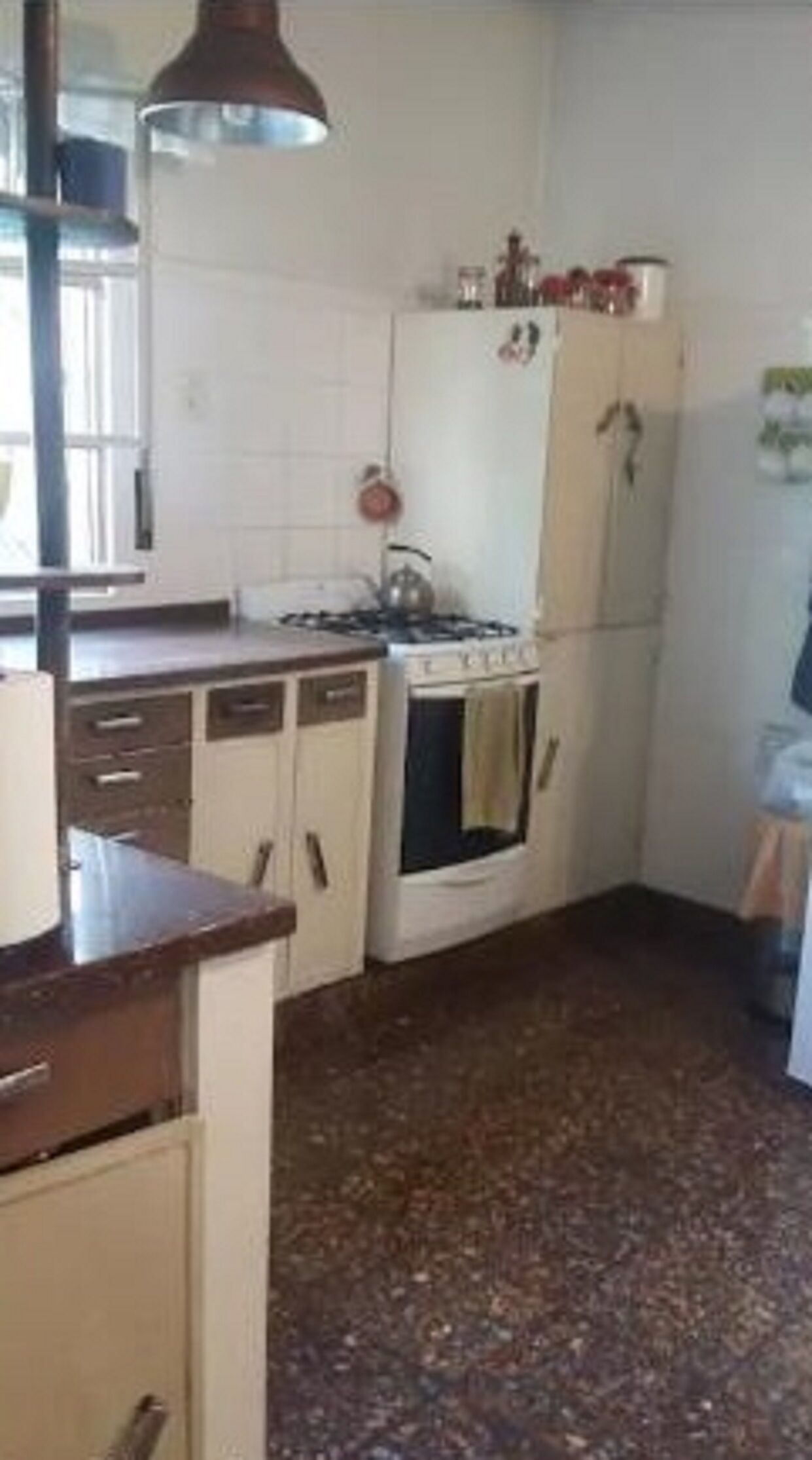 Very nice house with great garden, ideal green lovers.