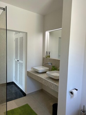 Combined shower/bathtub, jetted bath, hair dryer, bidet