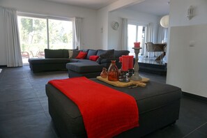 TV, fireplace, ping pong, stereo