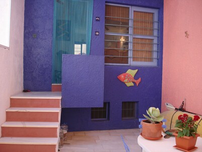 House of the rose. An explosion of color and beauty in a still virgin landscape.