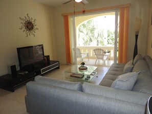 TV, DVD player, books