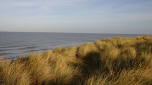 Un paysage côtier avec des dunes herbeuses et une mer calme.