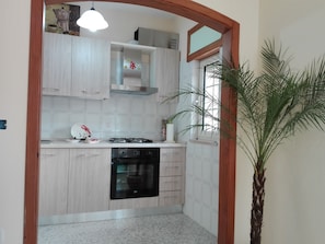 Fridge, oven, stovetop, cookware/dishes/utensils