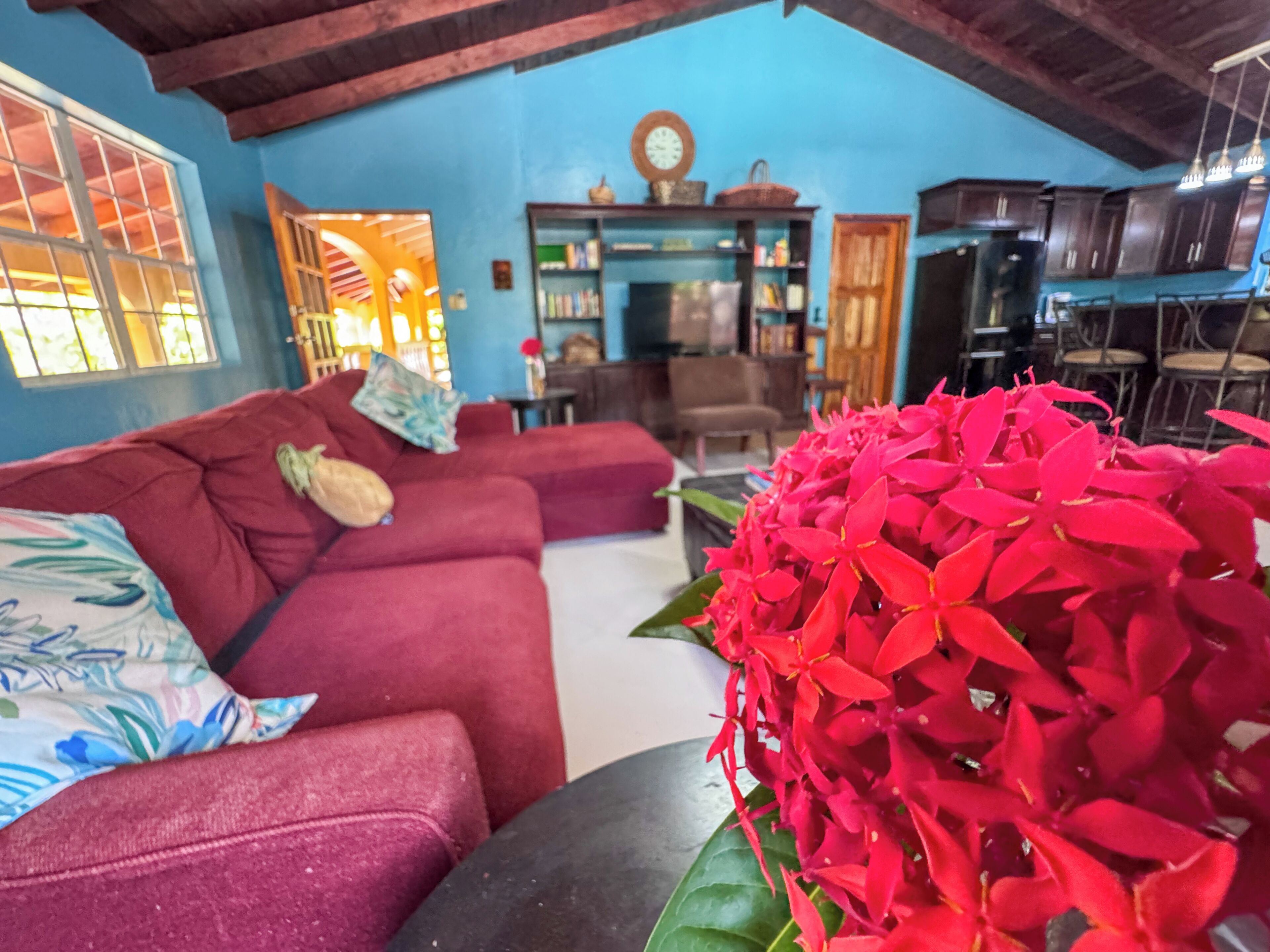 Un salon avec un canapé rouge, une table basse et une plante décorative.