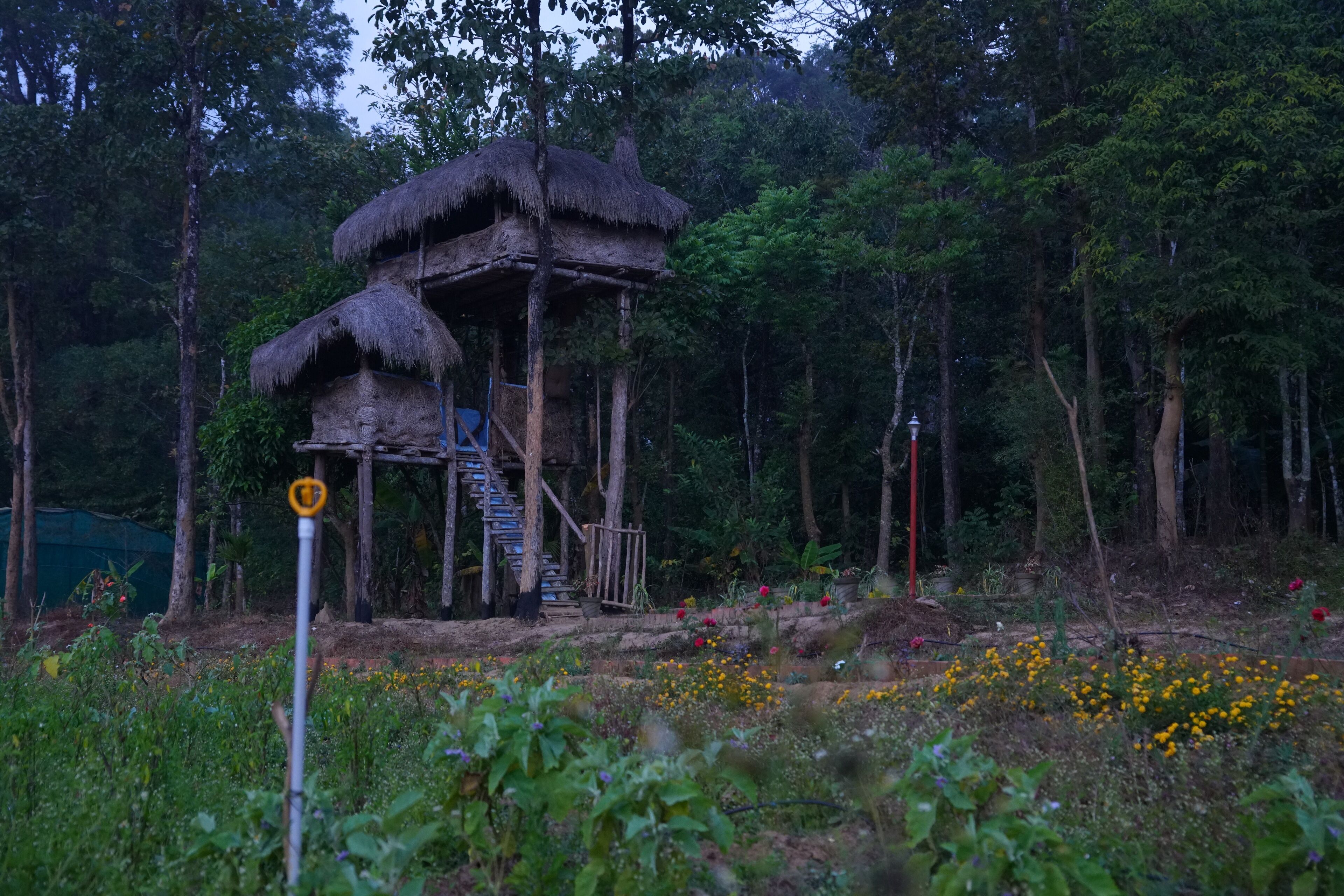 Zyamadhari - The Far & Away