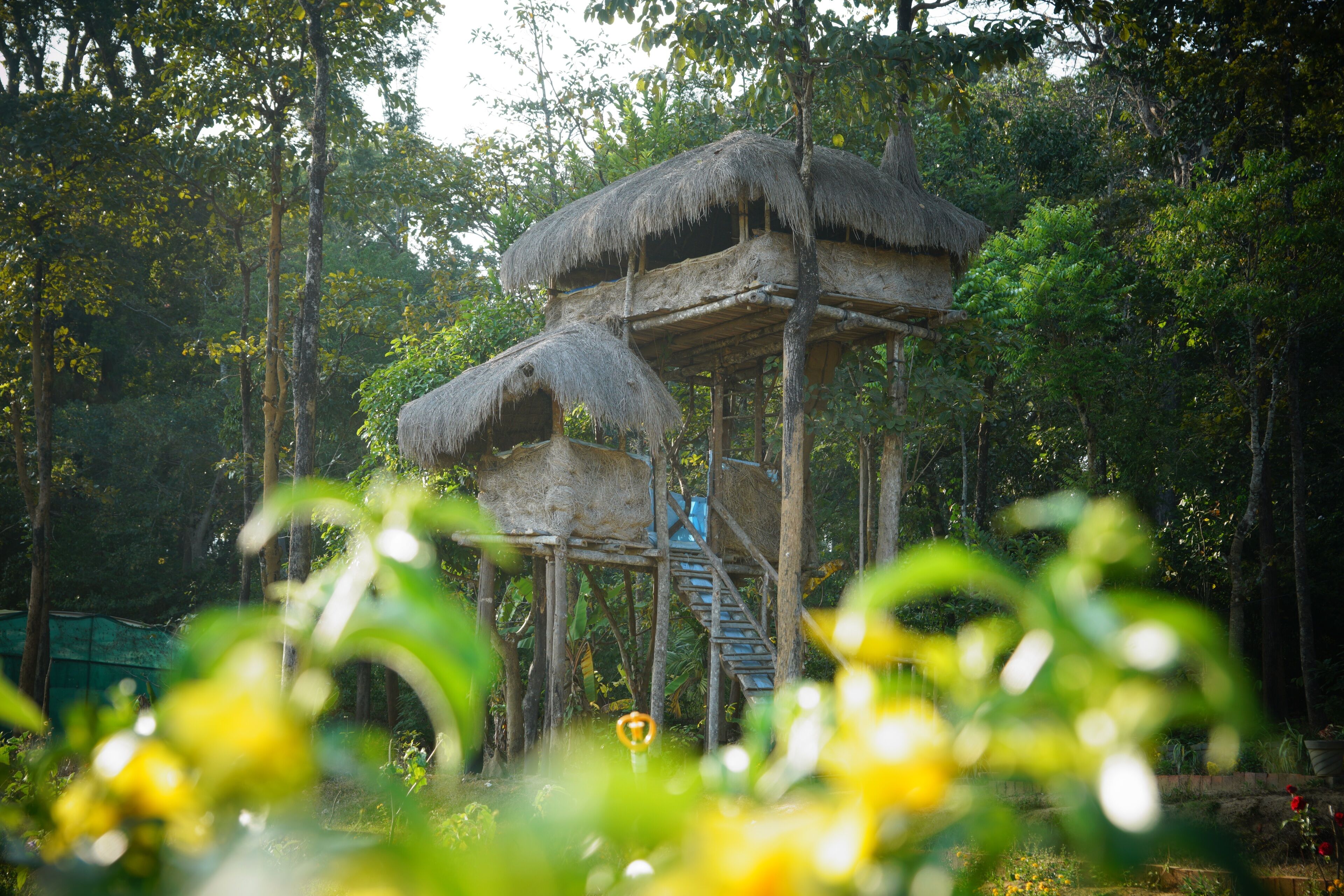 Zyamadhari - The Far & Away