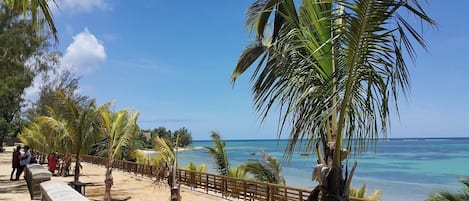 Una playa con un muelle de madera, palmeras y un cielo azul despejado.