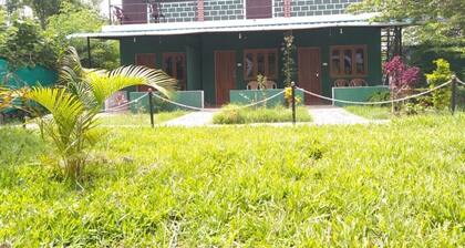Green hills farm and guest house aachakarai masinagudi