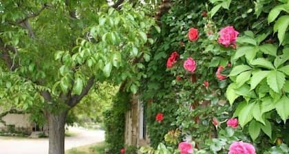 Rural house in Nerpio with 3 rooms