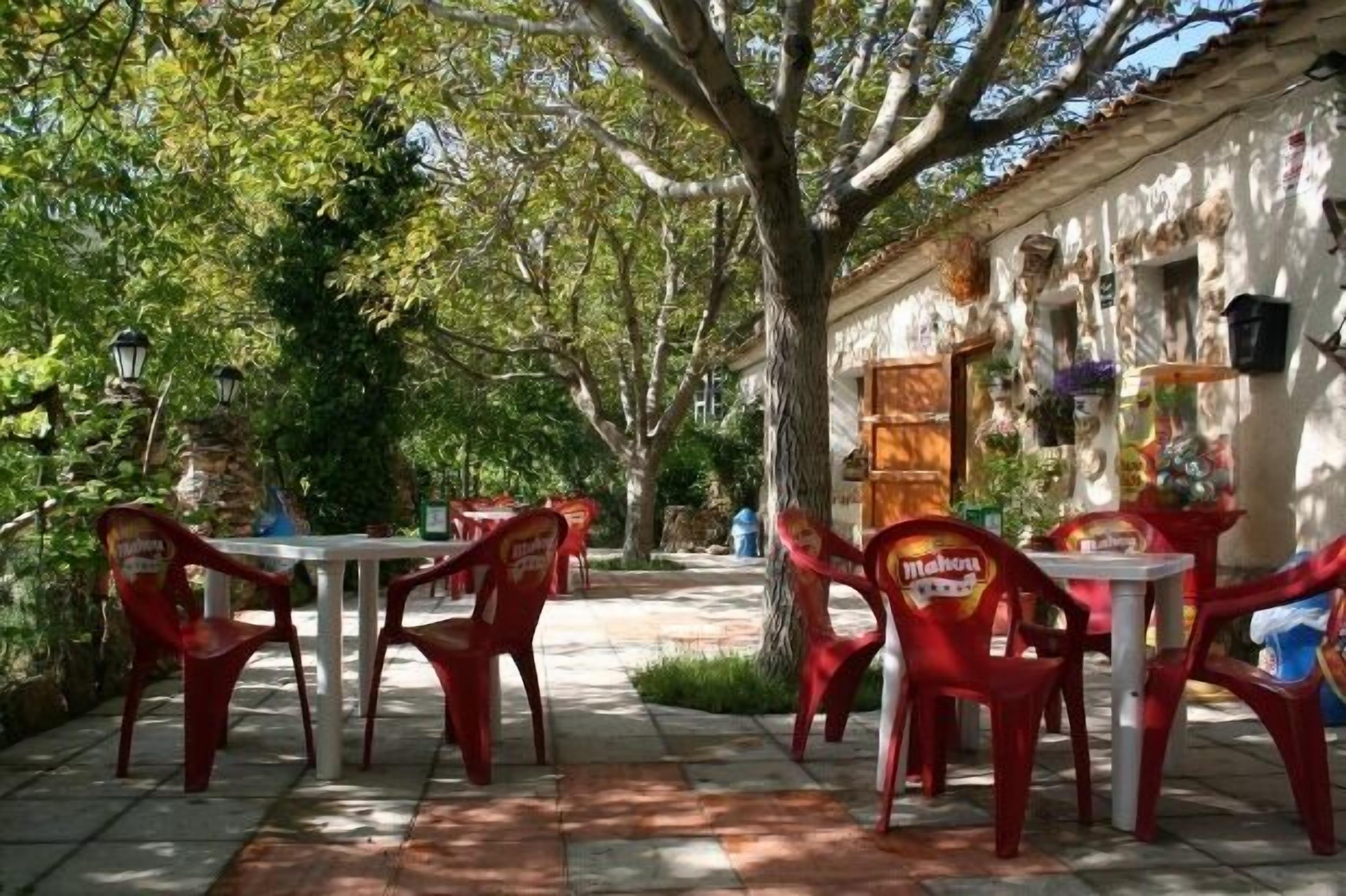 An outdoor patio with red plastic chairs and tables, surrounded by trees and a building with a rustic appearance.