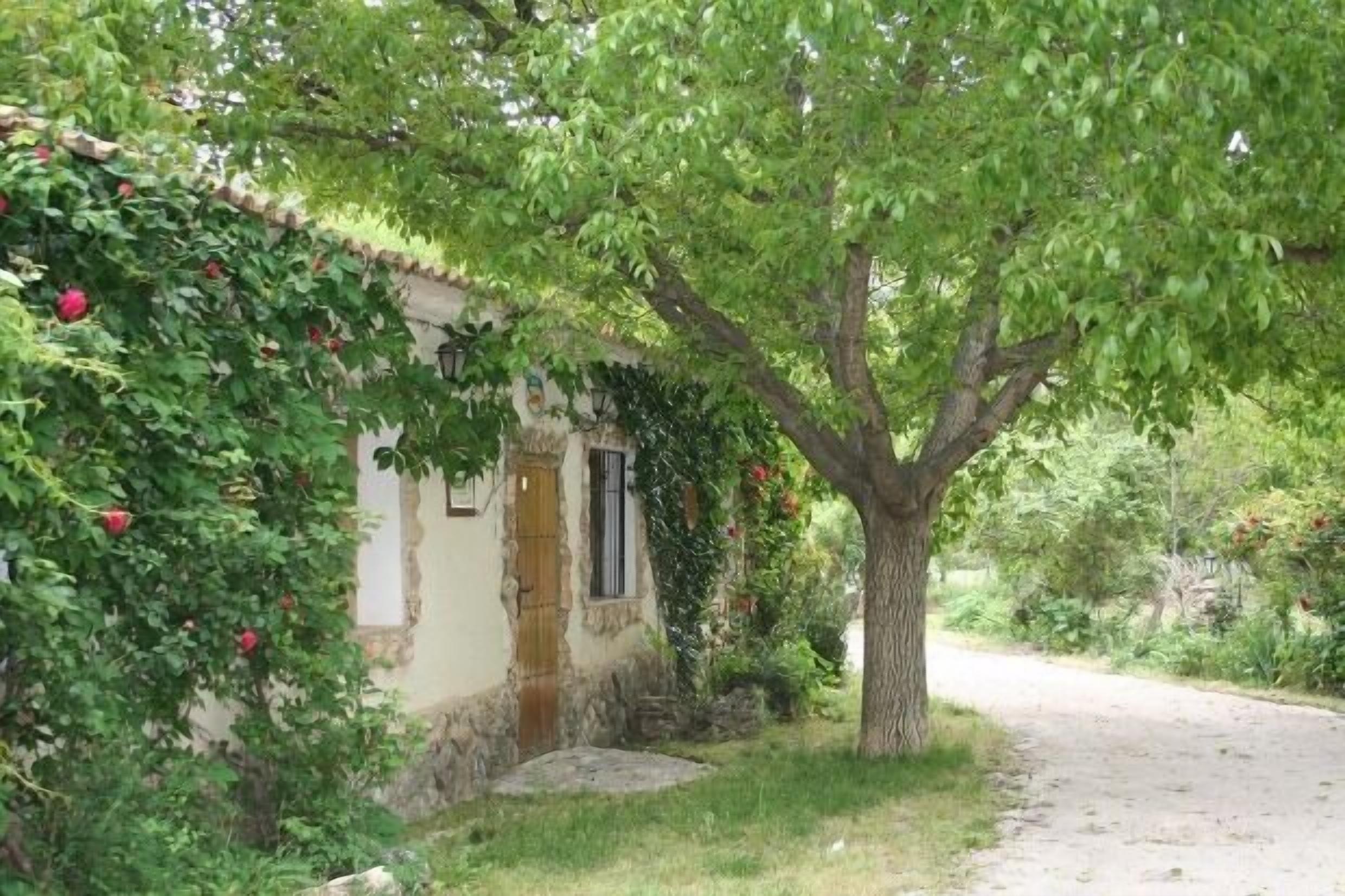A rustic building with a tree in front, a dirt path, and a stone wall.