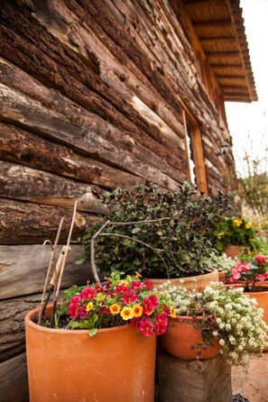 Detalhe da fachada