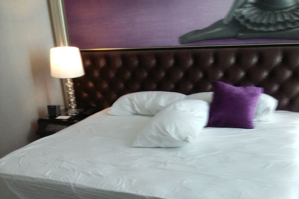 1 King Bed Apartment.