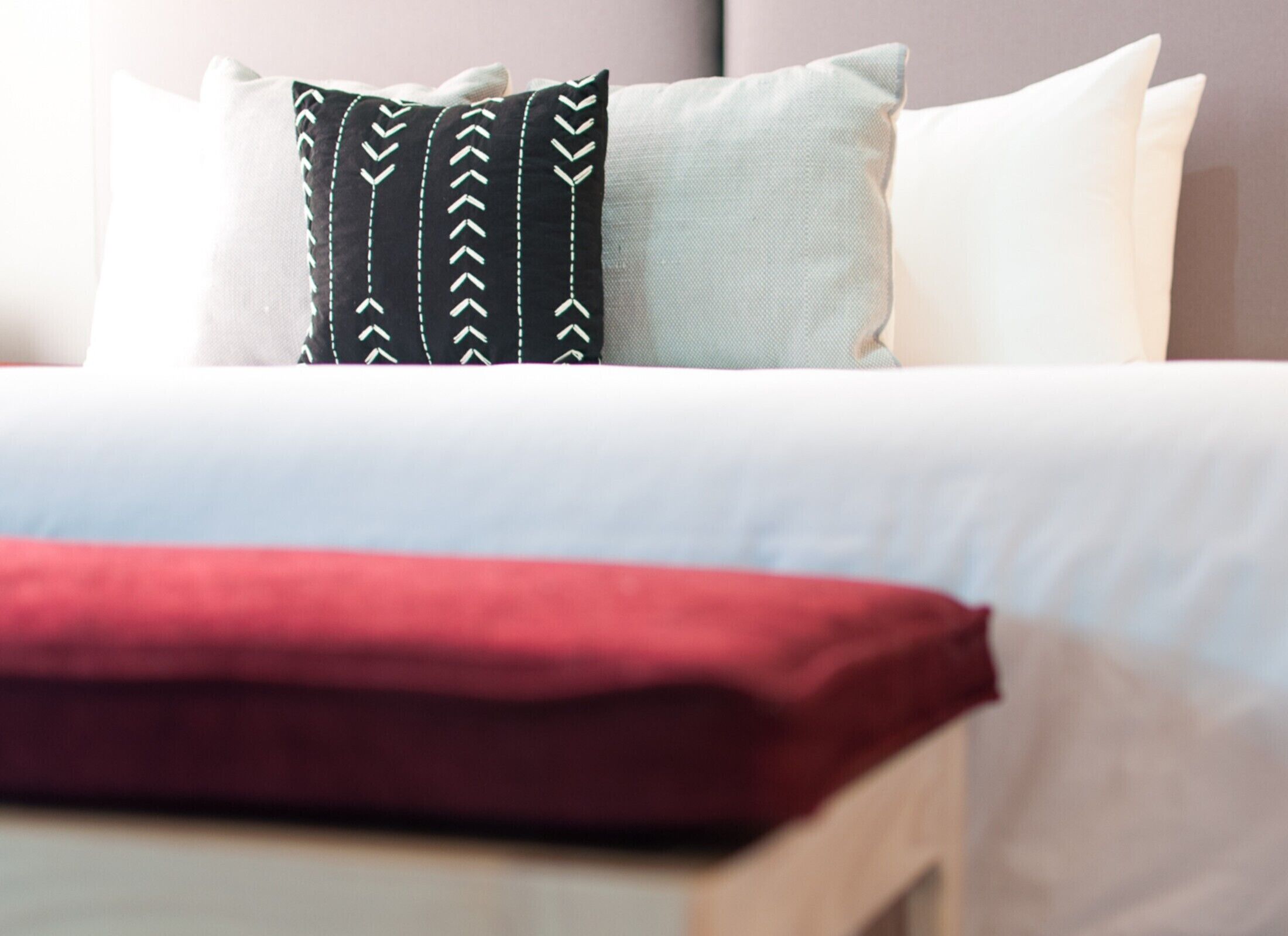 Amazing Suite Near the Beach! Rooftop Pool & Free Breakfast