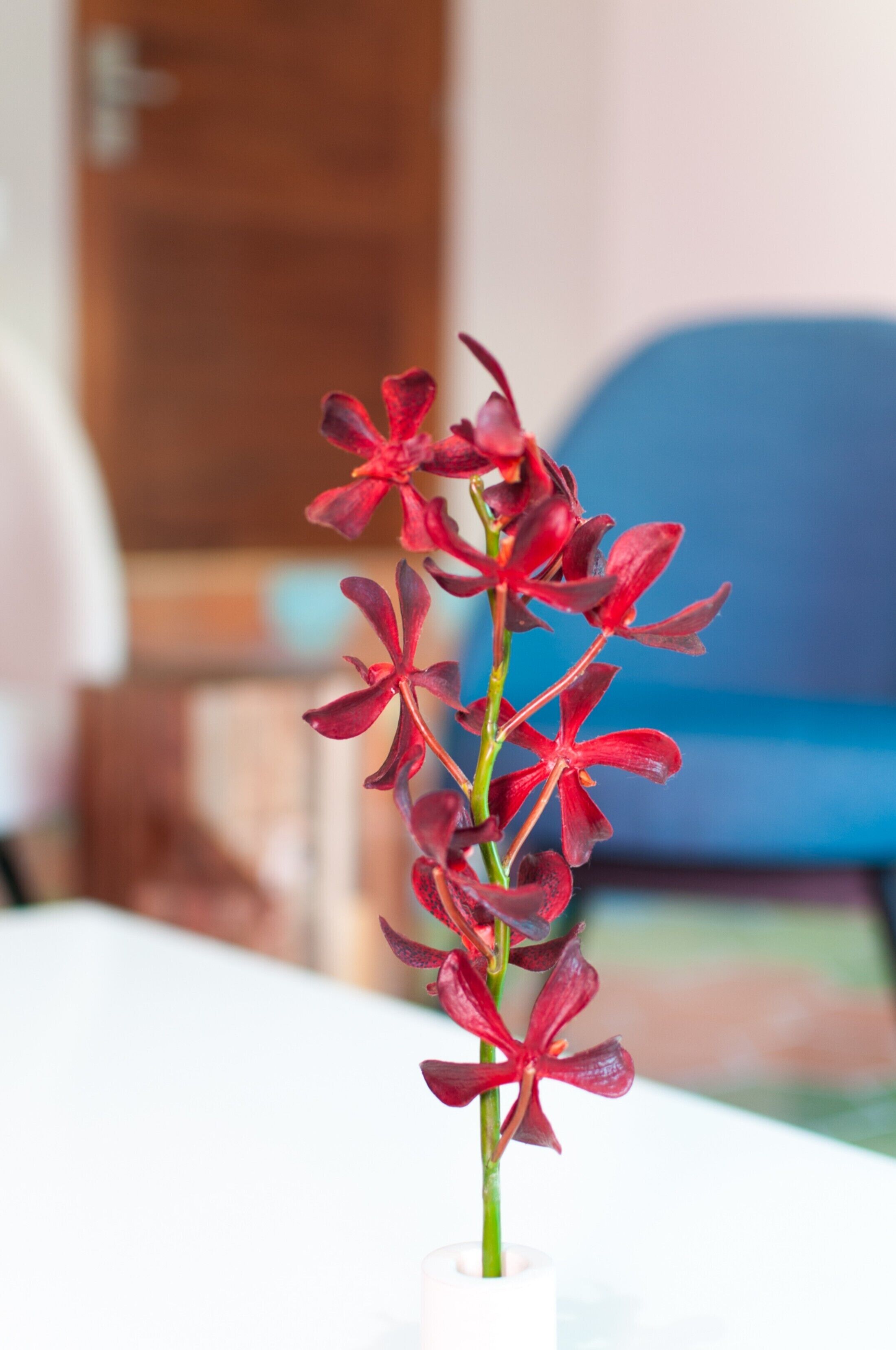 Amazing Suite Near the Beach! Rooftop Pool & Free Breakfast