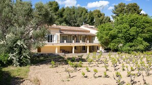 A two-story house with a tiled roof, surrounded by a vineyard.
