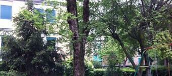 Modern Loft with view and light