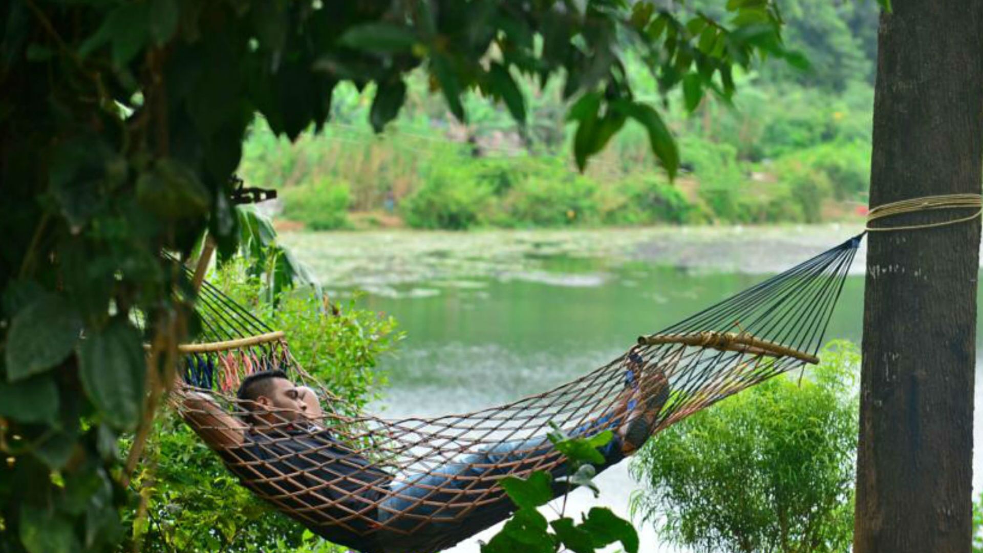 Mezzma The Shack at Wayanad