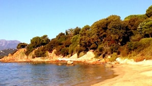 Ein Strand mit klarem, blauem Wasser, sandigem Ufer und Bäumen im Hintergrund.
