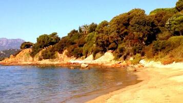 Plage à proximité, chaises longues, serviettes de plage