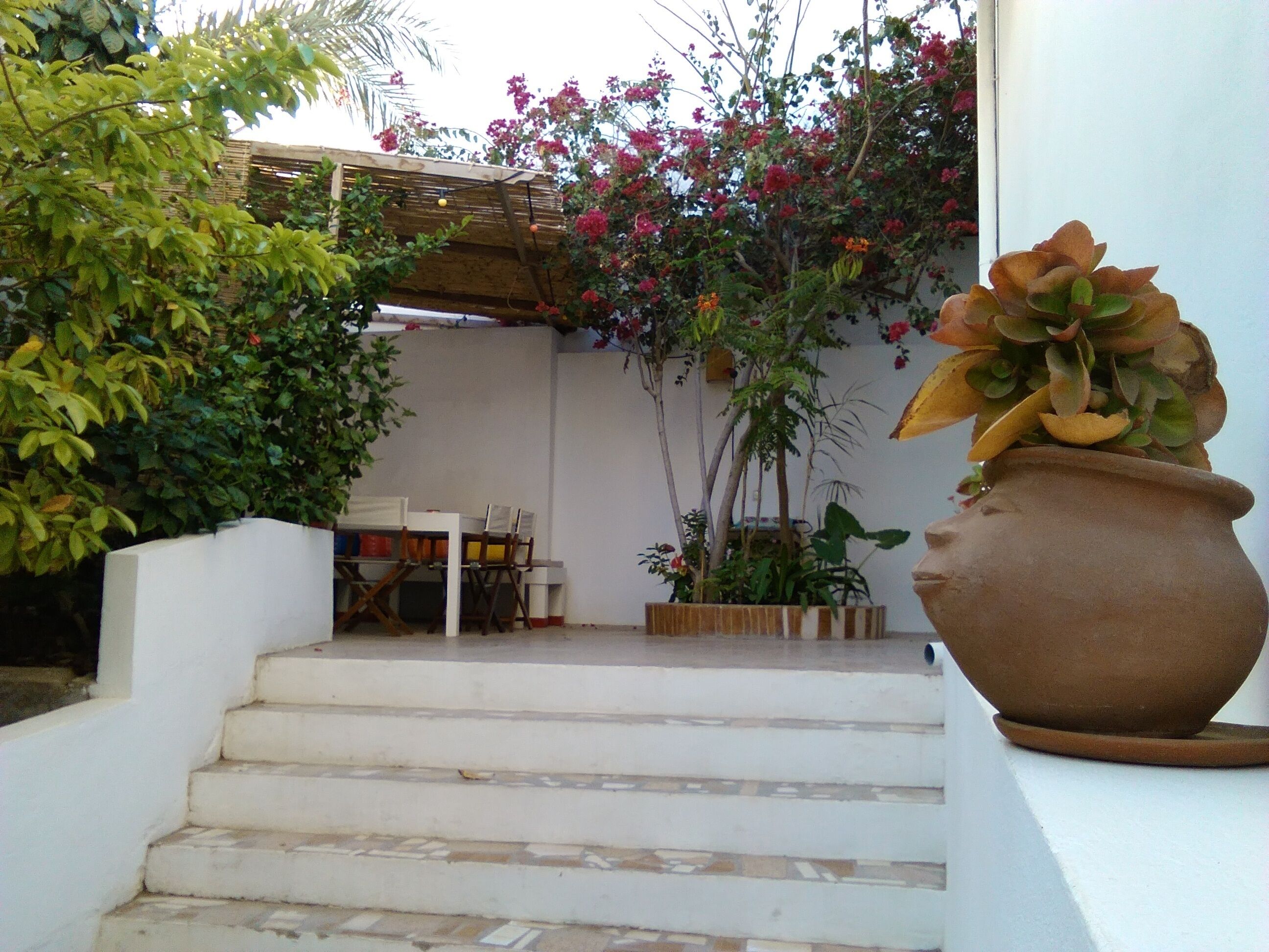 A staircase leading to a covered outdoor area with a table and chairs, surrounded by lush greenery and flowering plants.