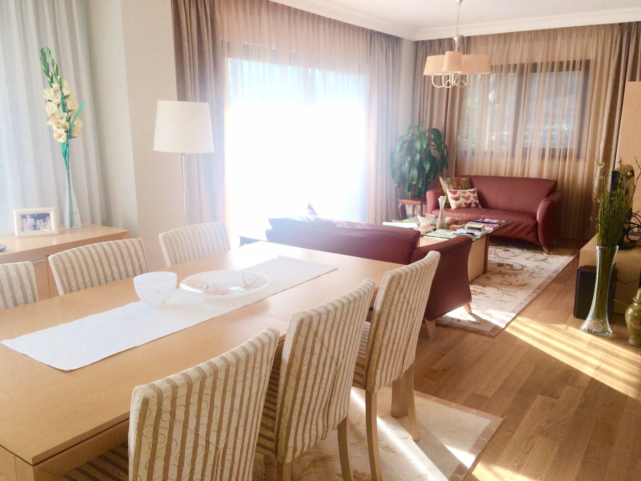 Chic, cosy, central and clean flat with a lavender garden 